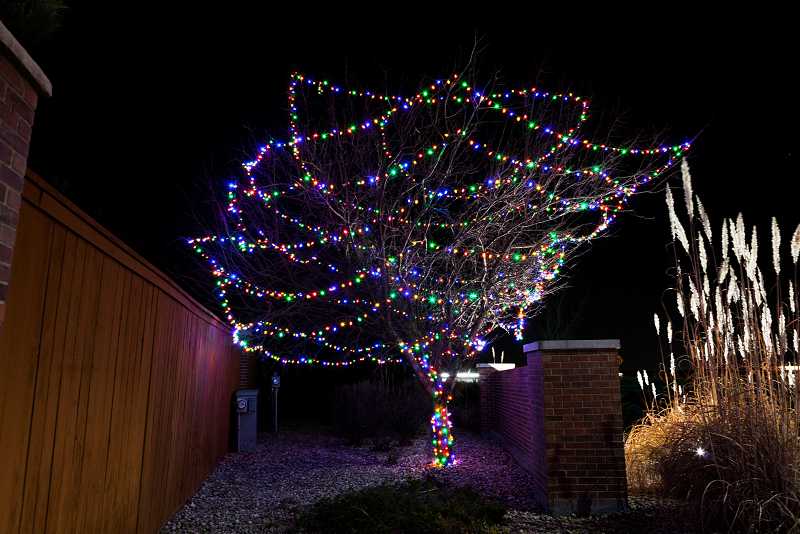 christmas-light-installation-thornton
