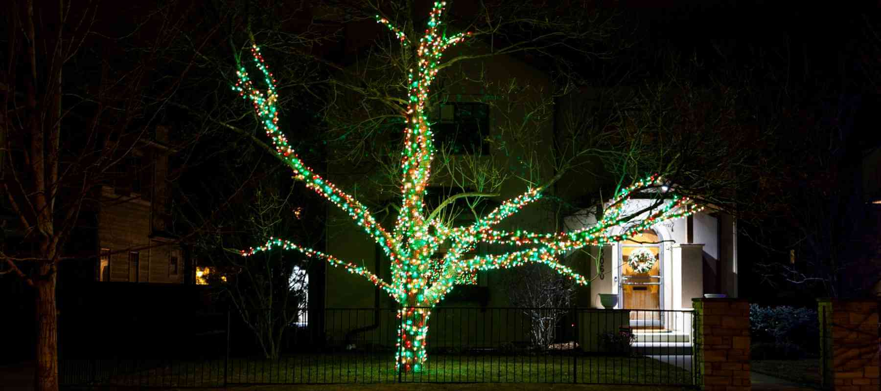 Feds to Regulate Christmas Lights