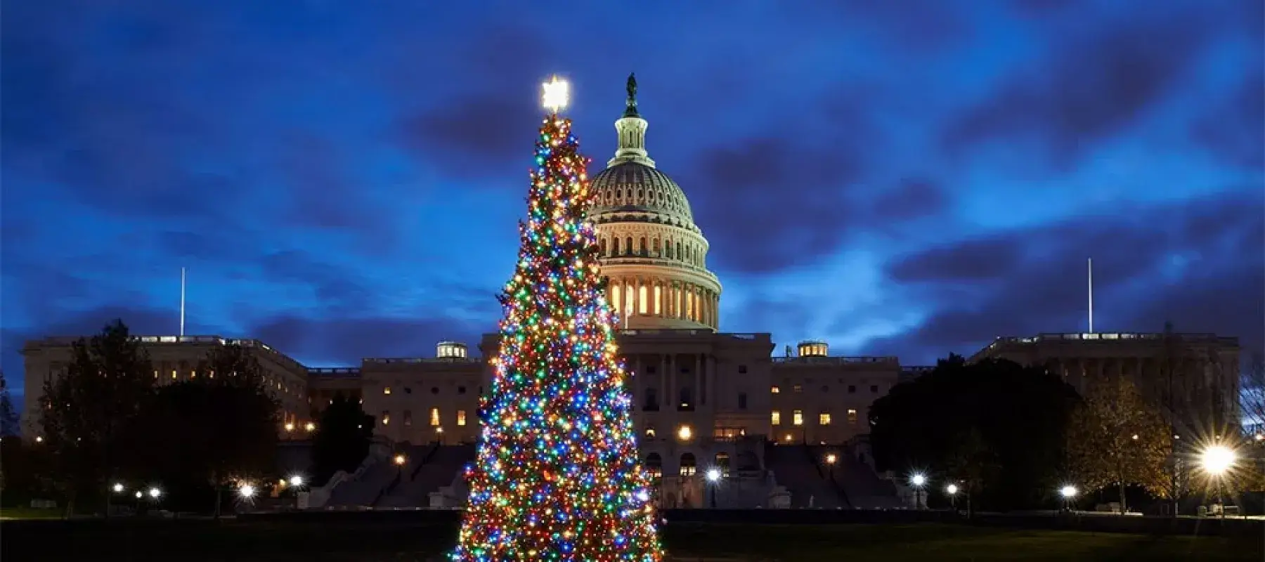 How Does the National Christmas Tree Get to Washington, D.C.?