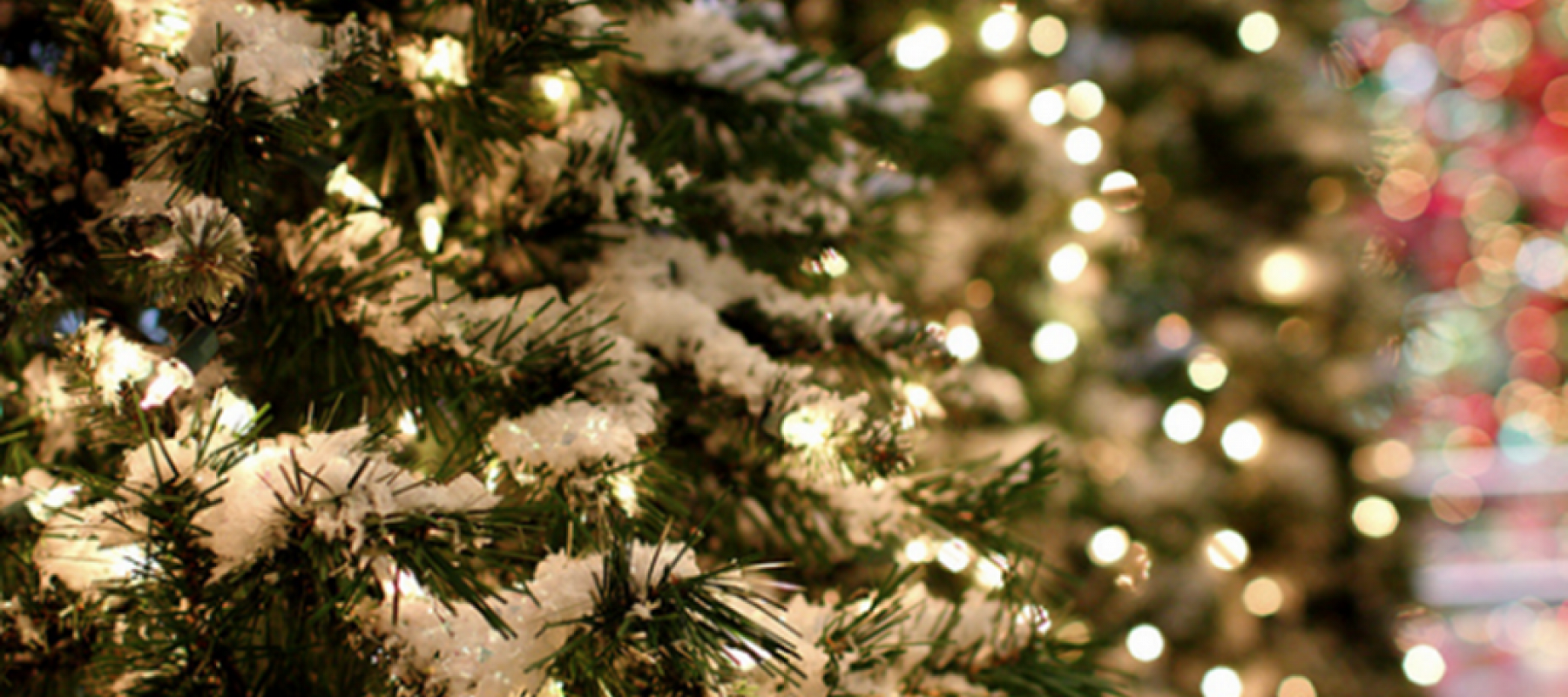 The History of Christmas Lights