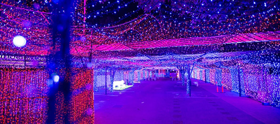 Kickstarter: World's Largest LED Christmas Lights