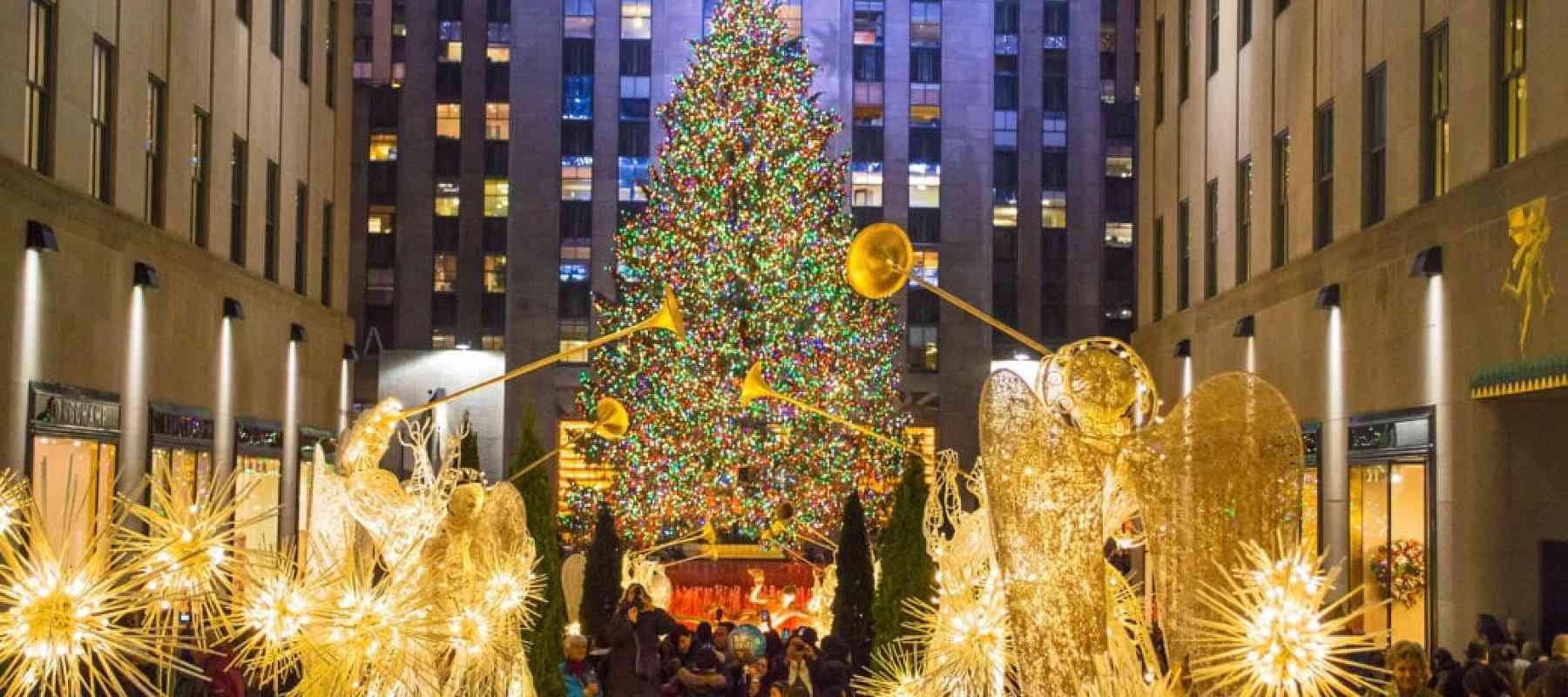 Rockefeller Center Tree Transformed into a Home for a Family in Need