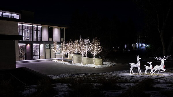 Annika Denver Trees and Reindeer