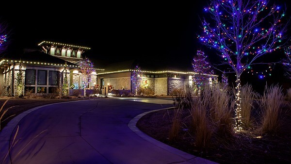 Aurora Christmas Lights