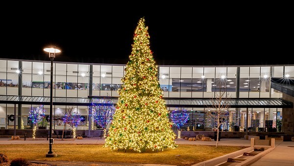 Tree At Good Samaratian
