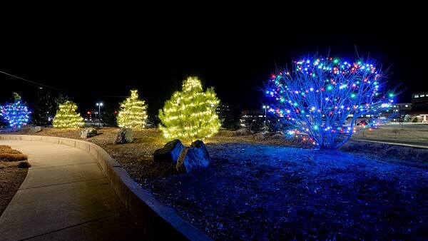 Hospital Small Island