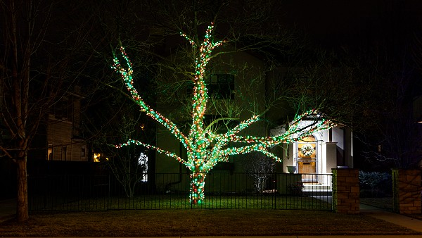 Denver Christmas Tree